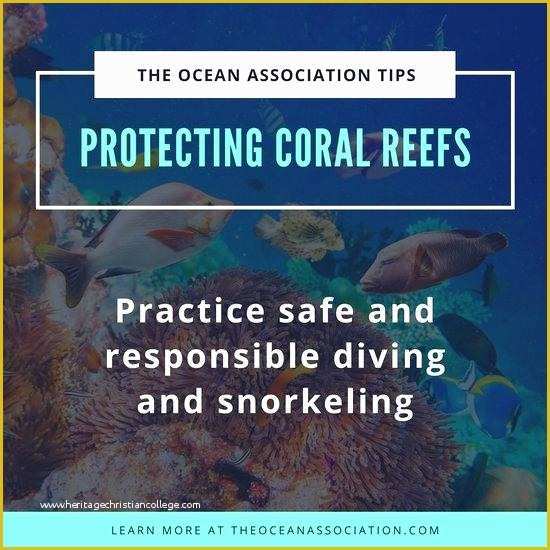 Coral Reef Powerpoint Template Free Of Coral Reef Template