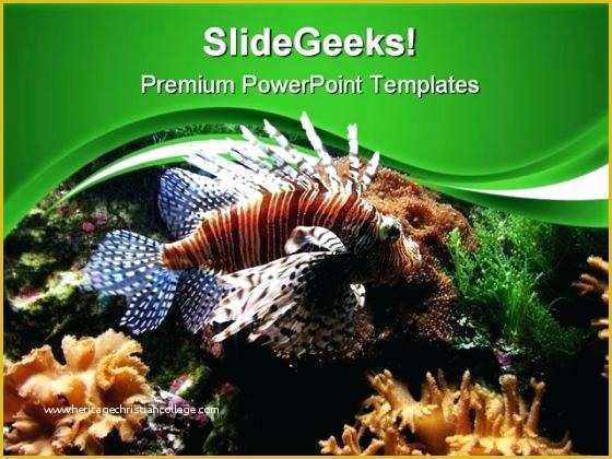 Coral Reef Powerpoint Template Free Of Coral Reef Template