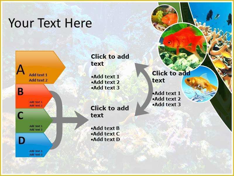 Coral Reef Powerpoint Template Free Of Coral Reefs Powerpoint Templates and Backgrounds