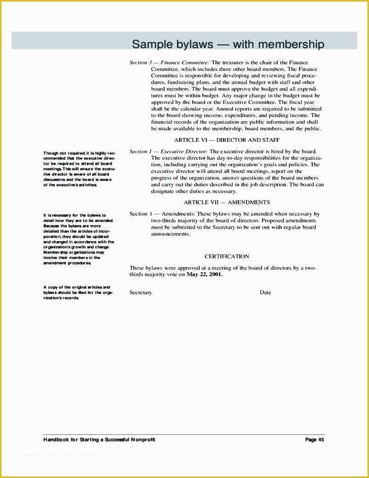 Corporate bylaws Template Free Of Corporate bylaws Template top Result S Corp Beautiful Word