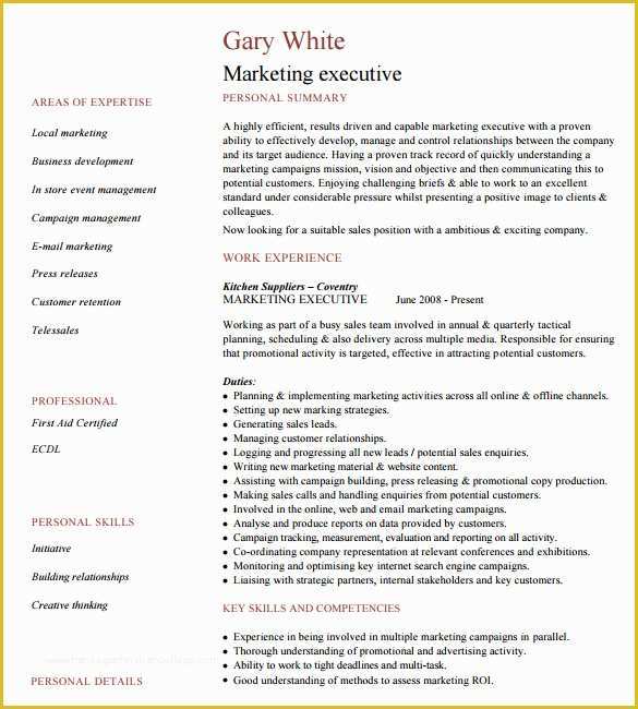 Corporate Resume Template Free Of 16 Executive Resume Templates Pdf Doc