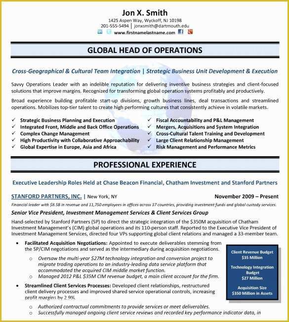 Corporate Resume Template Free Of 24 Best Sample Executive Resume Templates Wisestep