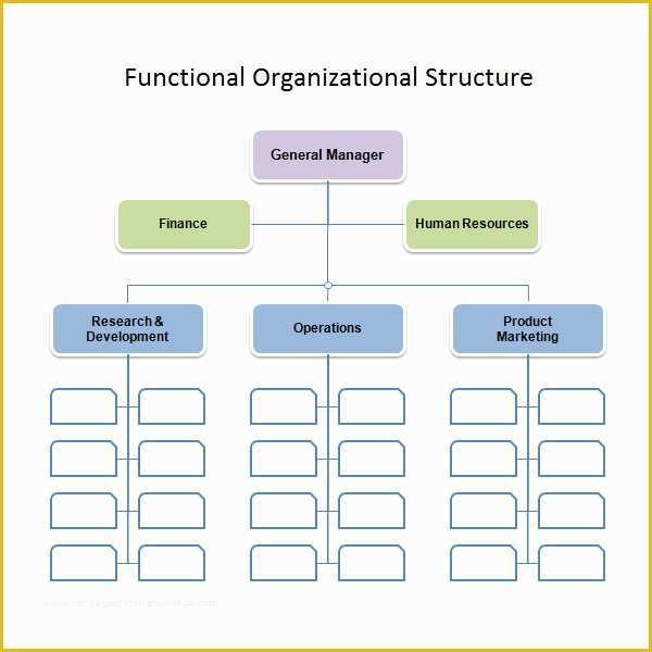 Corporate Structure Template Free Of 10 organizational Chart Template Download Free