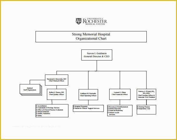 Corporate Structure Template Free Of Download organization Chart Template Word Templates