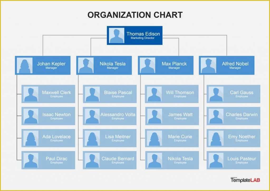 Corporate Structure Template Free Of Excel Templates organizational Chart Free Download Invoice