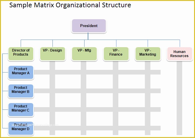 Corporate Structure Template Free Of Free organizational Chart Template Pany organization