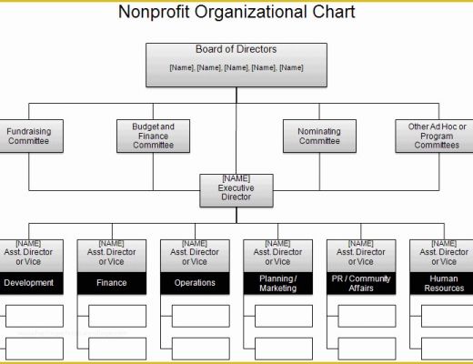 Corporate Structure Template Free Of Free organizational Chart Template Pany organization