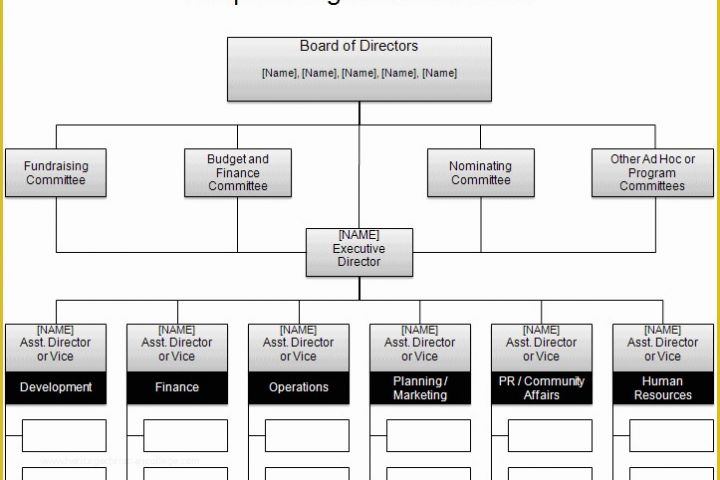 Corporate Structure Template Free Of Free organizational Chart Template Pany organization