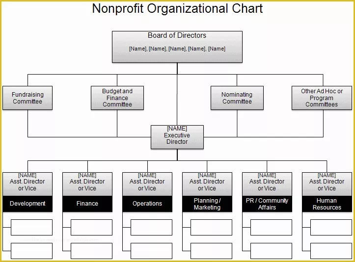 Corporate Structure Template Free Of Free organizational Chart Template Pany organization