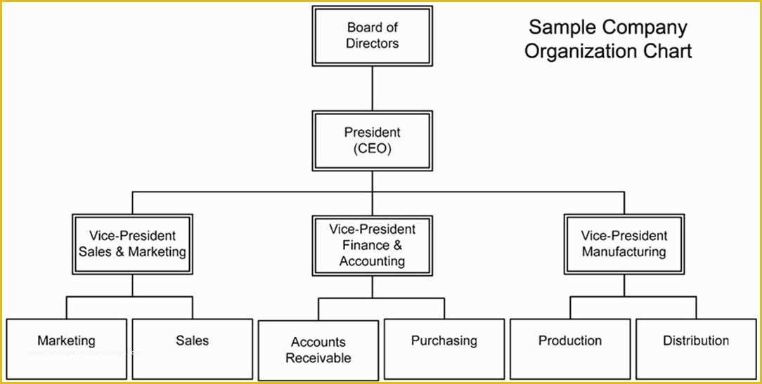 Corporate Structure Template Free Of Free Pany Structure Chart Template