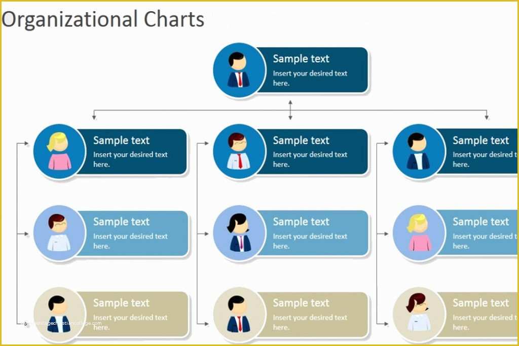 Corporate Structure Template Free Of Hierarchical organizational Chart Template