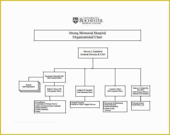 Corporate Structure Template Free Of organizational Chart Template – 9 Free Sample Example