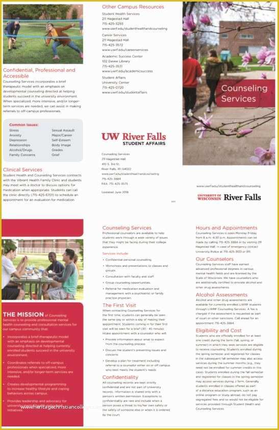 Counseling Brochure Templates Free Of Counseling Brochures Exclusiveinternetdirectory