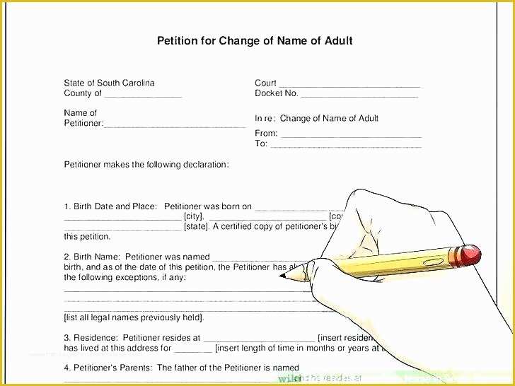 Court Document Templates Free Of Court Papers Template