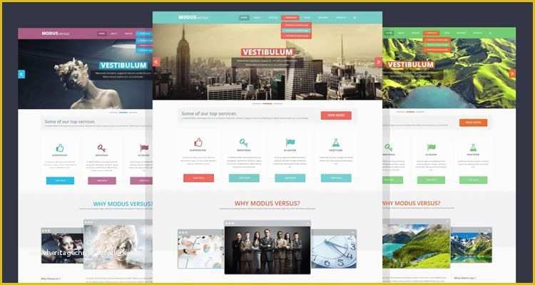 Create Free Website Template Of 50 Free Web Design Shop Psd Templates