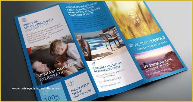 Create Your Own Brochure Templates Free Of Design Your Own Brochure Free Free Tri Fold Brochure