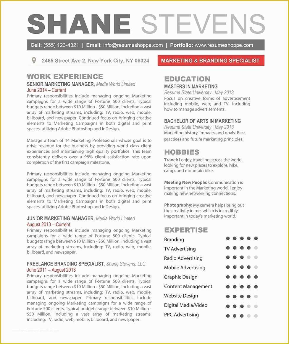  Creative Resume Templates Free Download For Microsoft Word Of 41 Last 