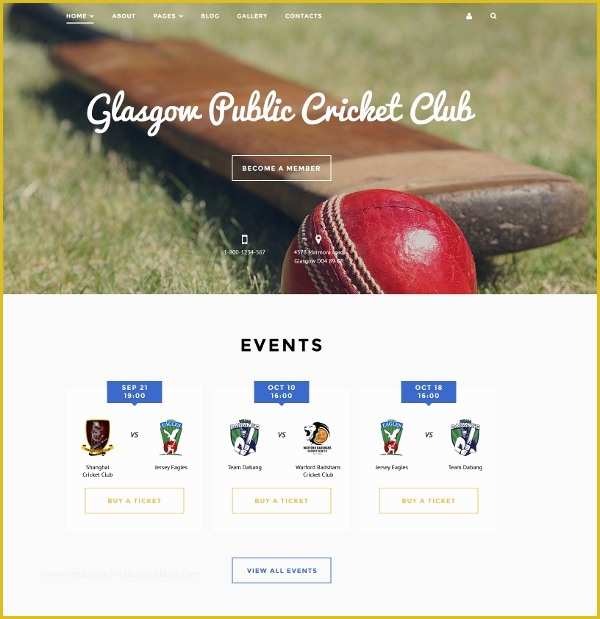 Cricket Website Templates Free Download Of 20 Portfolio Website themes & Templates