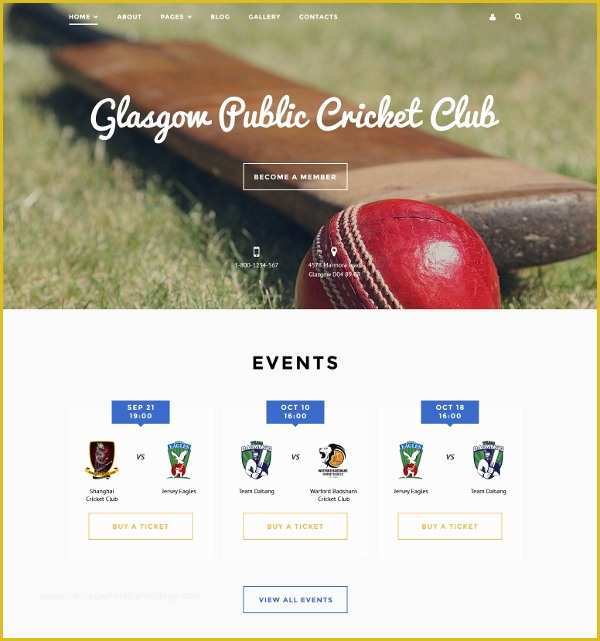 Cricket Website Templates Free Download Of 41 Portfolio Website themes & Templates