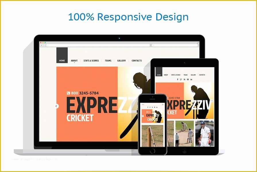 Cricket Website Templates Free Download Of Cricket Responsive Website Template