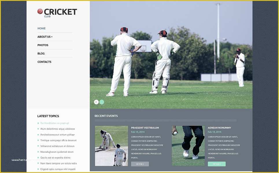 Cricket Website Templates Free Download Of Cricket Responsive Wordpress theme