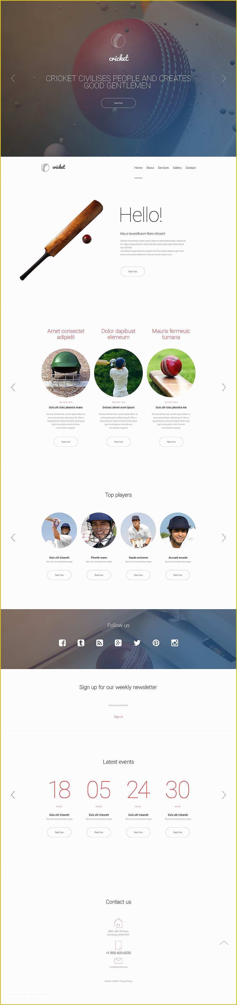 Cricket Website Templates Free Download Of Cricket Web Template