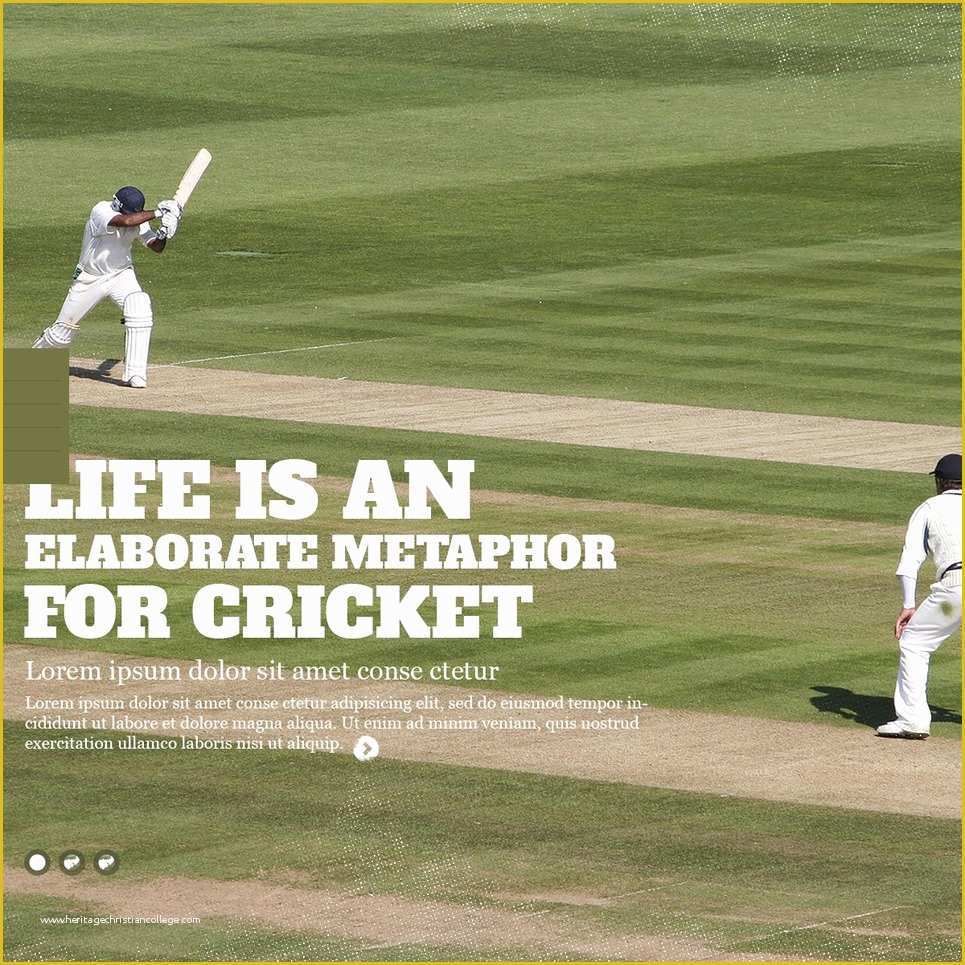Cricket Website Templates Free Download Of Cricket Website Template 