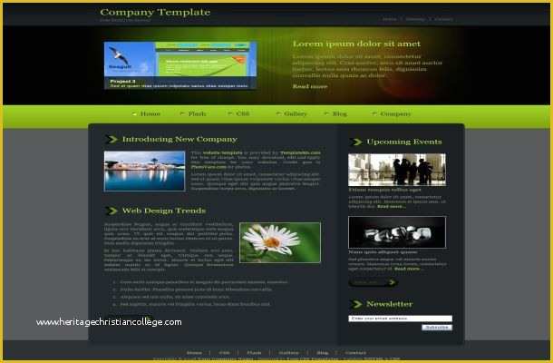 Css Web Templates Free Download Of Free Website Flash Templates and Css Best