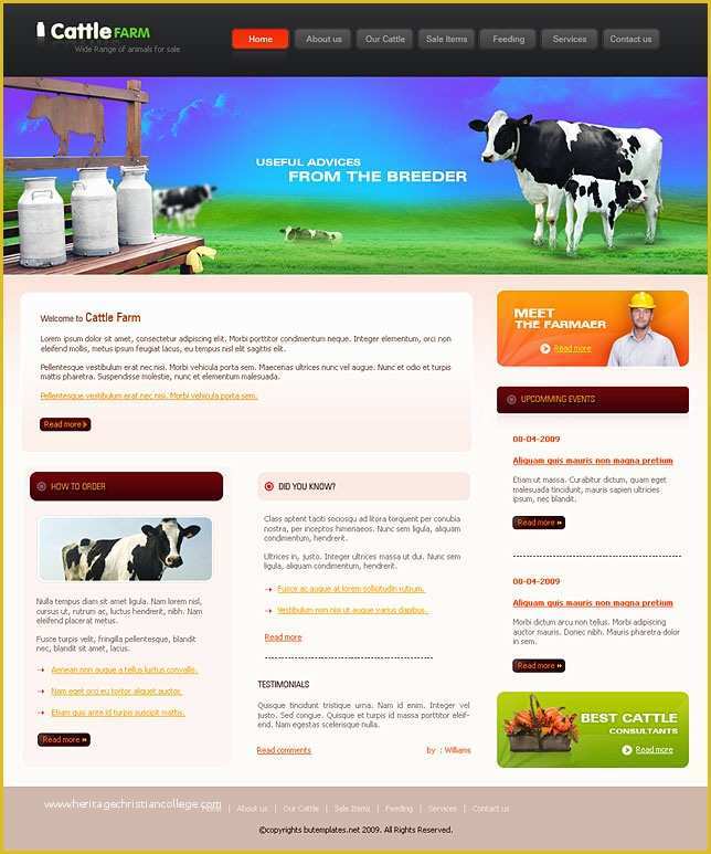 Css Web Templates Free Download Of Milk Website Template Free Website Templates Free