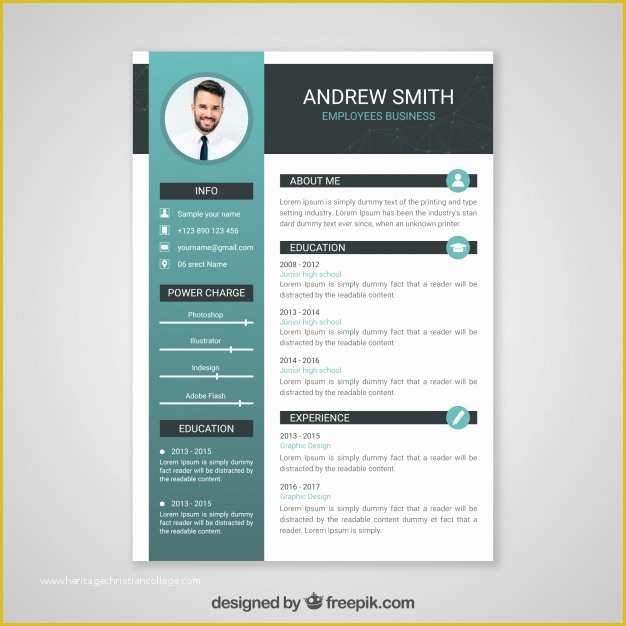 Curriculum Templates Free Of Professional Curriculum Vitae Template Vector