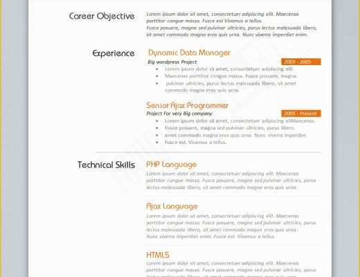Curriculum Vitae Template Free Of Programmer Cv Template