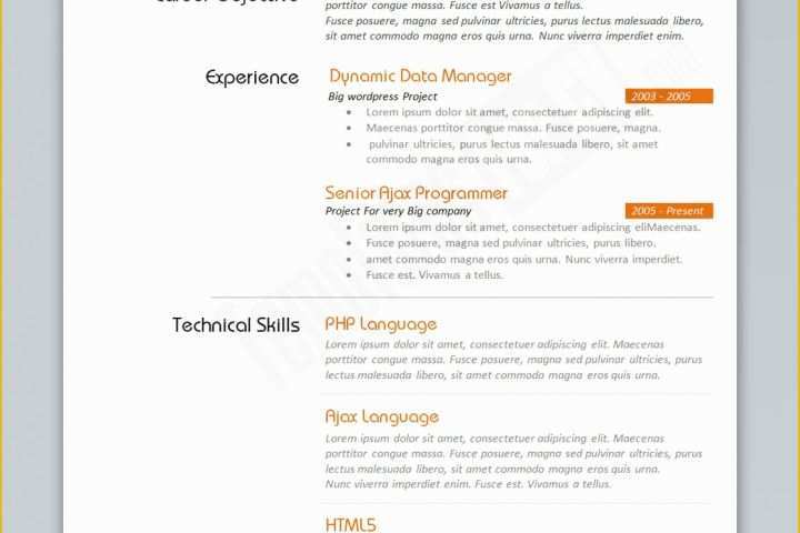 Curriculum Vitae Template Free Of Programmer Cv Template