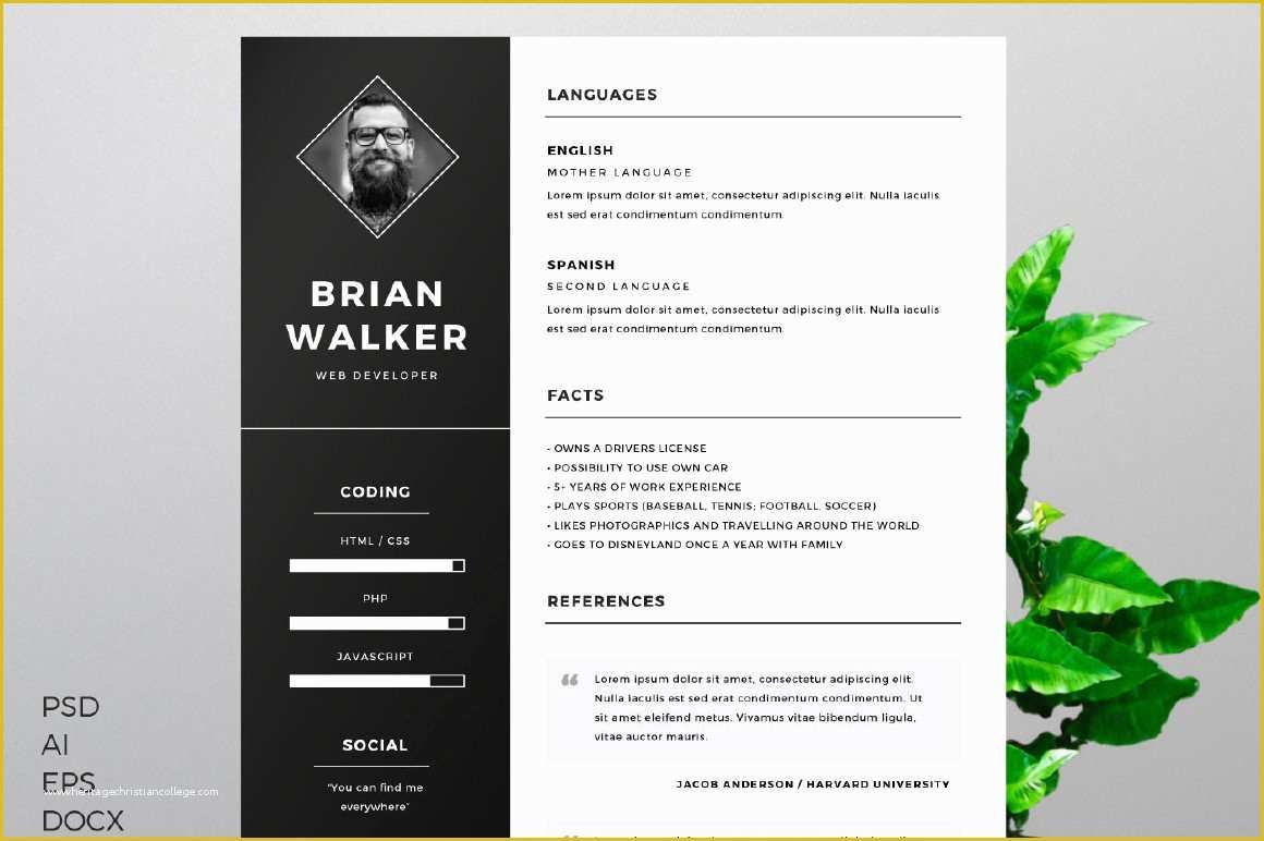 Cv Microsoft Word Template Free Of Free Resume Template Creativebooster