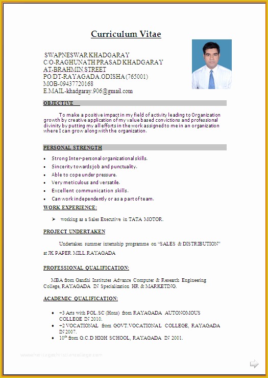 Cv Microsoft Word Template Free Of Microsoft Word Template Cv Salonbeautyform