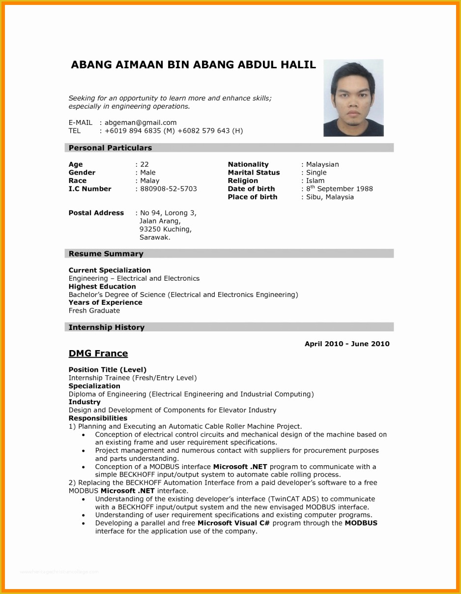 Cv Template Pdf Free Of 9 Cv Model Pdf