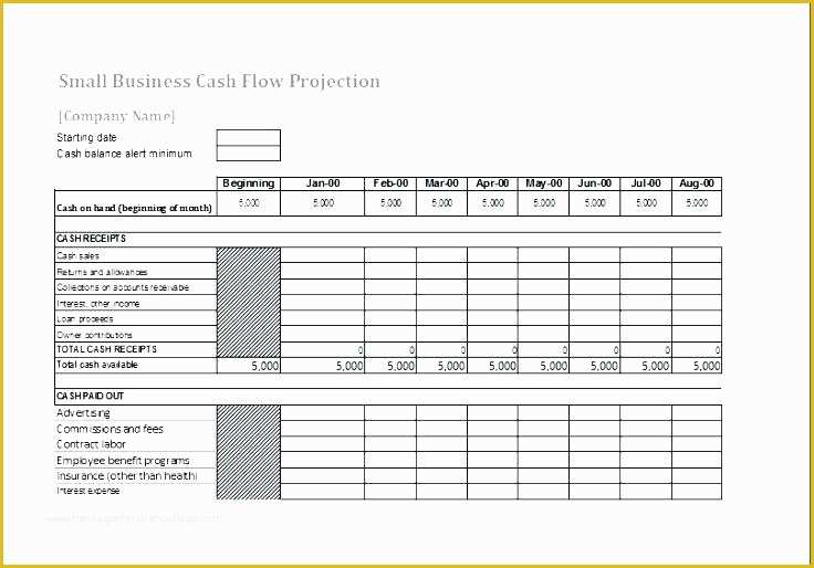 Daily Cash Flow Template Free Download Of Daily Cash Flow Template Daily Cash Flow Template Excel