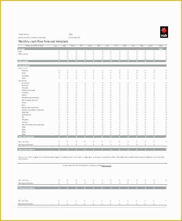 Daily Cash Flow Template Free Download Of Pro forma Cash Flow Template Personal Cash Flow Statement