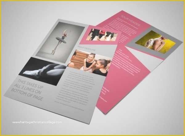 Dance Brochure Templates Free Download Of 27 School Flyer Templates Psd Vector Eps Jpg Download