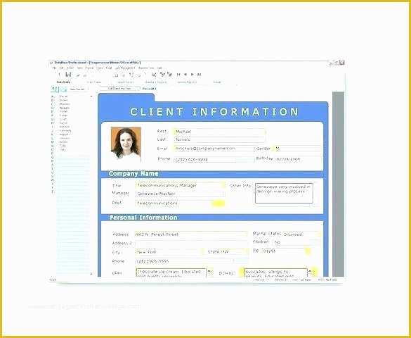 Database Templates Free Download Of Free Client Database Template