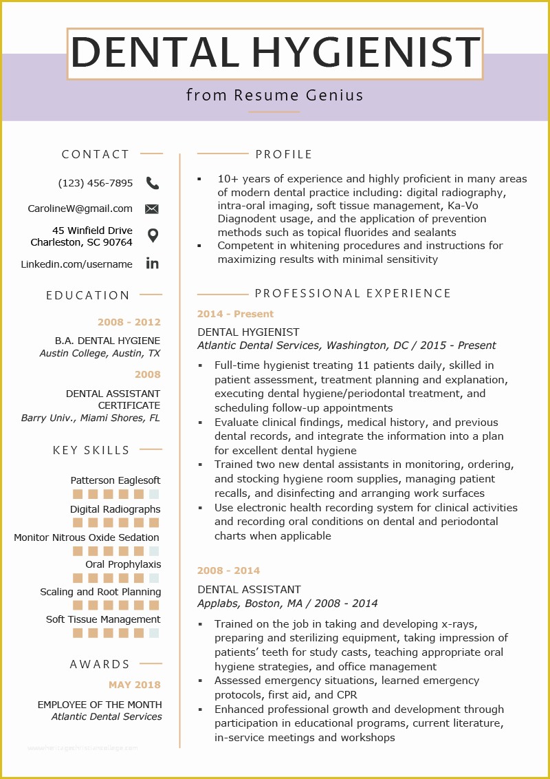 Dental Hygienist Resume Template Free Of Dental Hygienist Resume Example & Writing Tips