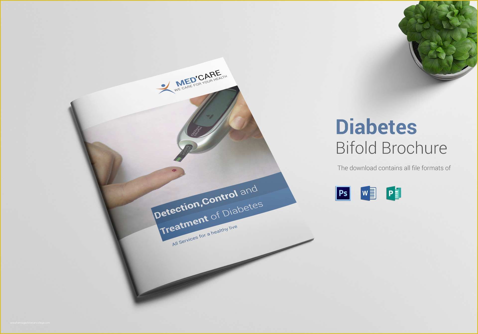 Diabetes Brochure Templates Free Of Diabetes Bi Fold Brochure Design Template In Word Psd