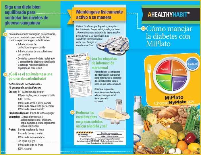 Diabetes Brochure Templates Free Of Patient Education Handouts