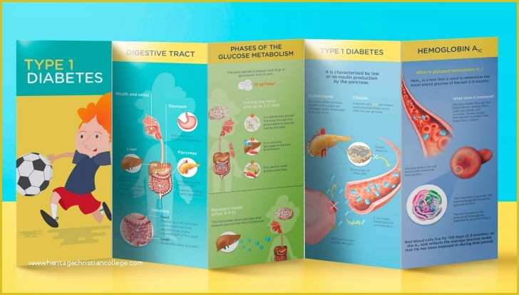 Diabetes Brochure Templates Free Of Template Diabetes Brochure