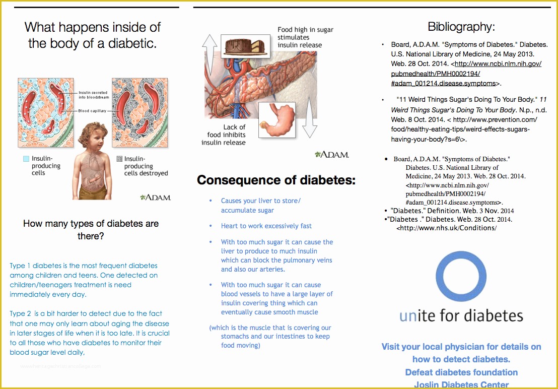 Diabetes Brochure Templates Free Of Template Diabetes Brochure