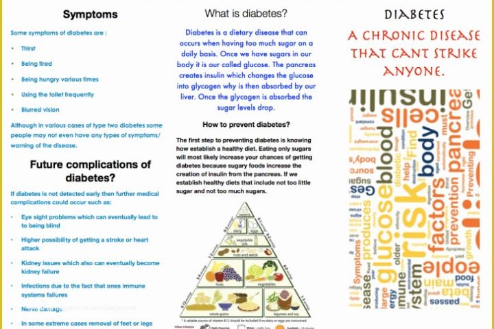 Diabetes Brochure Templates Free Of Template Diabetes Brochure