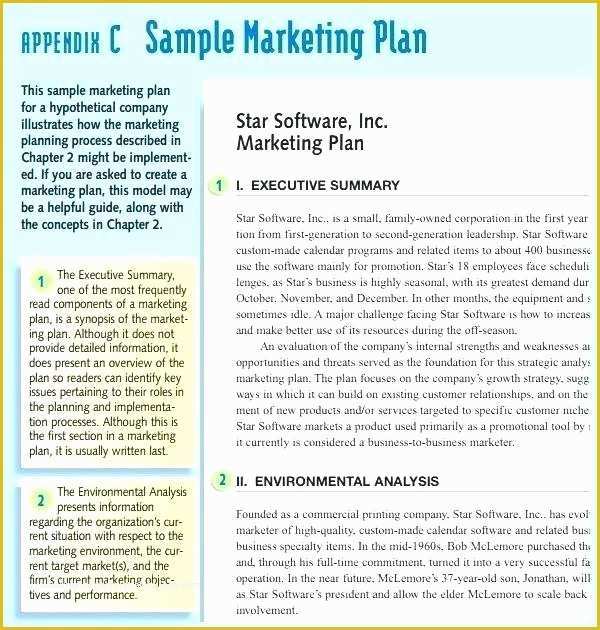 Digital Marketing Plan Template Free Download Of Free Sample Marketing Plan Template Traditional Example