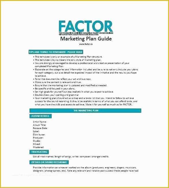 Digital Marketing Plan Template Free Download Of Internet Marketing Plan Template Free Word Excel format