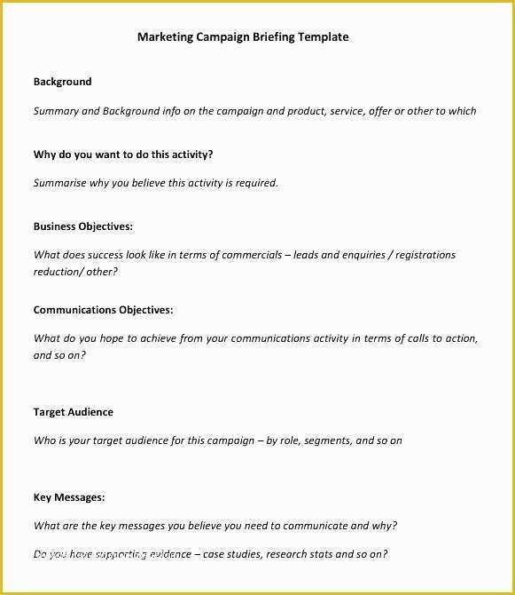 Digital Marketing Plan Template Free Download Of Marketing Campaign Plan Template