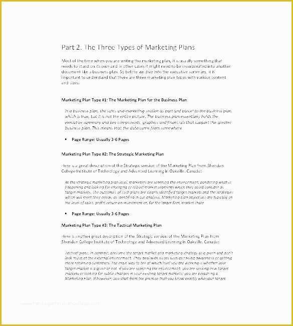 Digital Marketing Plan Template Free Download Of Marketing Plan Template Example