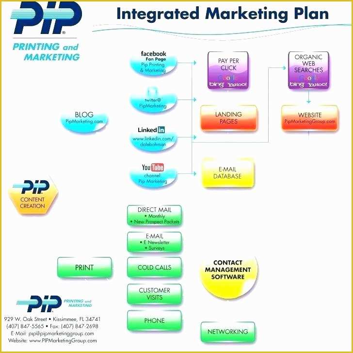 Direct Sales Business Plan Template Free Of 9 Direct Marketing Plan Templates Free Premium Sample